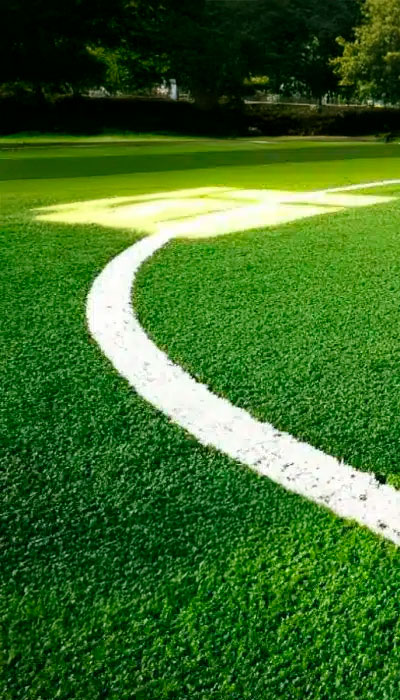 Grama para Esportes
